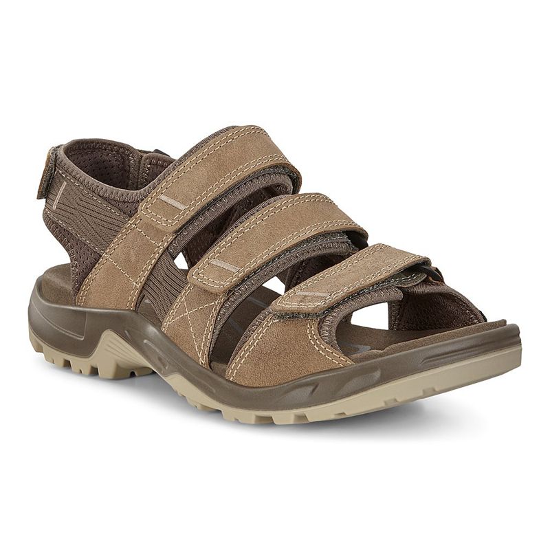 Men Ecco Offroad - Sandals Brown - India QUCKZN412